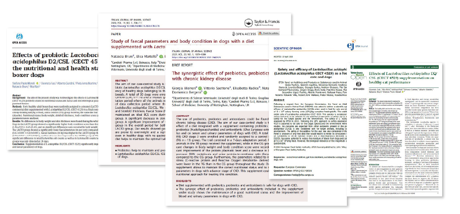 Certification Certification