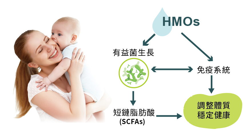 FOS+GOS-01 FOS+GOS-01