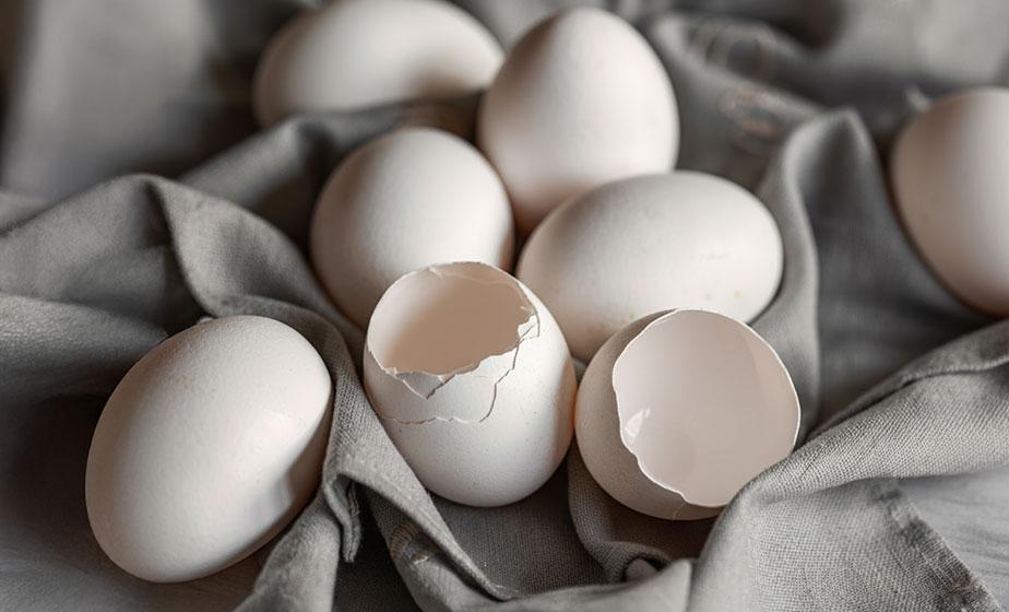 MKARE{®}西班牙蛋殼膜