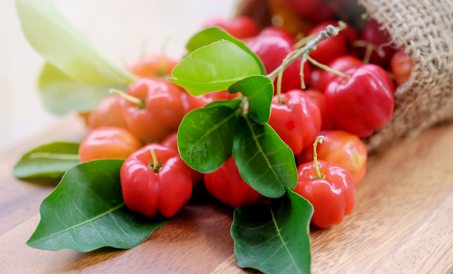 CherryPURE{®}酸櫻桃凍乾粉(含前花青素)