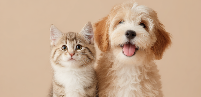 寵物營養大解密｜掌握6大必備營養素就對了！